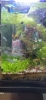 Ảnh của tét đăng ảnh